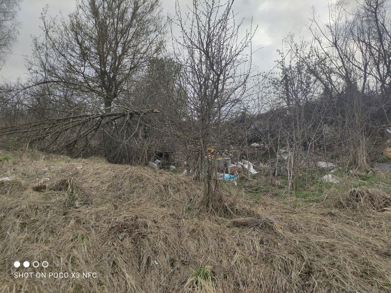 В деревне Гремячка Курской области возникла стихийная свалка | ИА Край