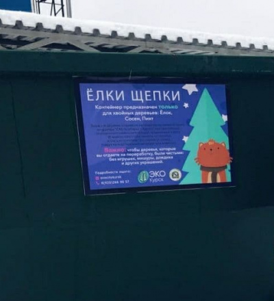 В Курске появились бункеры для сбора живых елей в переработку