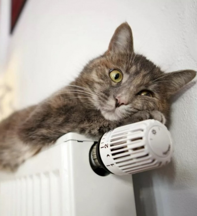 Прокуратура Курска напомнила управляющим компаниям об актах готовности домов к зиме