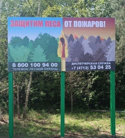 Проект «Школа лесничества Курской области» стал победителем губернаторского гранта