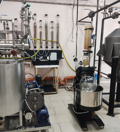 В Курской области может появиться производство по переработке топинамбура