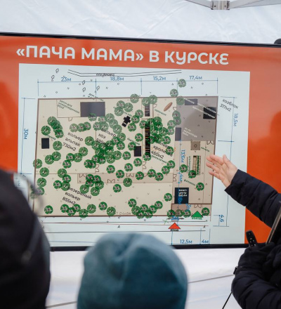 В Курске приостановили строительство парка альпак на Боевке после жалоб горожан