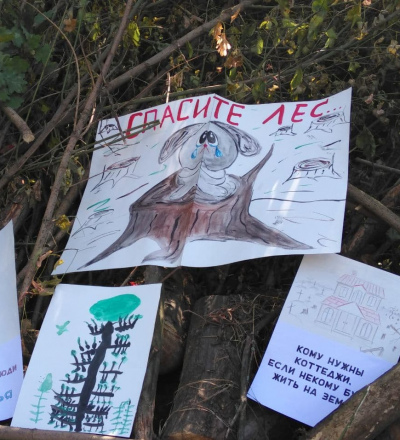 Жители деревни Духовец Курской области устроили сход из-за вырубки леса