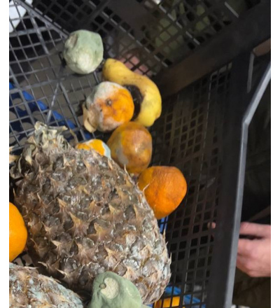 В Курске работает «горячая линия» по качеству и безопасности плодоовощной продукции и срокам годности