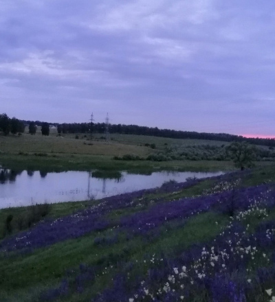 Минприроды Курской области прорабатывает вопрос восстановления реки Кур