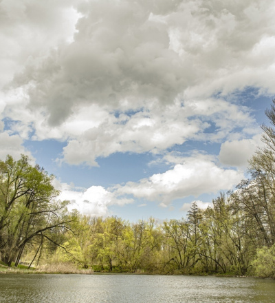 В Курске планируют благоустроить урочище «Хохлов лес»