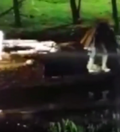 В Курске судят женщину, осквернившую Братскую могилу партийных и советских работников