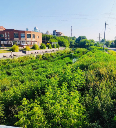 В Курске набережную «Утиный остров» начали приводить в порядок после поручения главы региона