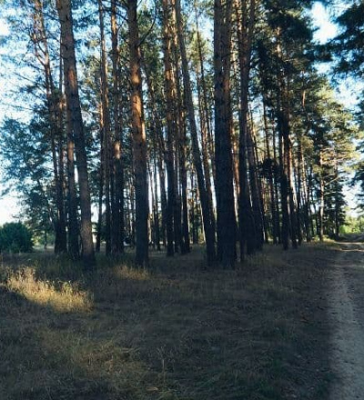 Урочище Пустошь-Корень в Курской области стало памятником природы