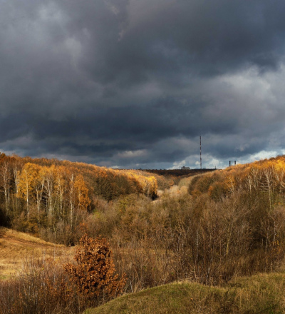 Администрация Курска оформит в собственность участки с лесом в урочище Крутой лог по иску прокуратуры